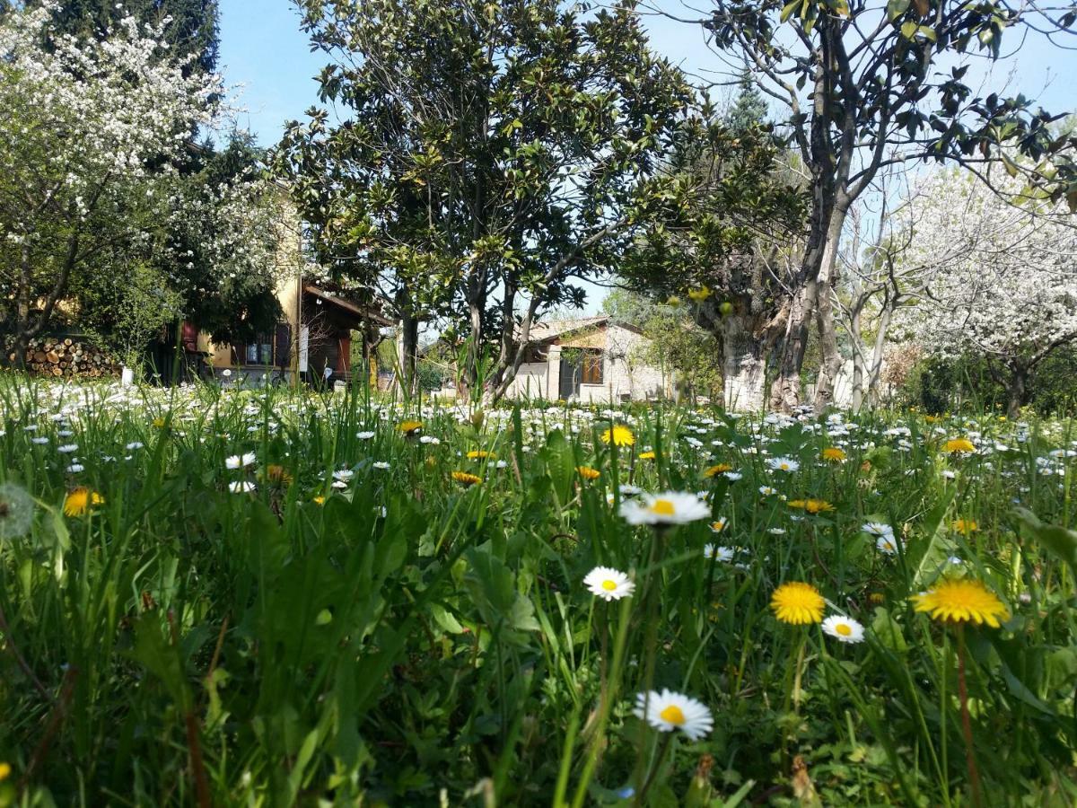 לינה וארוחת בוקר R&B Albero Cavo פארמה מראה חיצוני תמונה